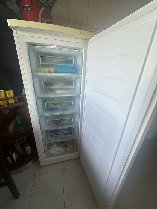 Arca congeladora vertical / carga de gás nova