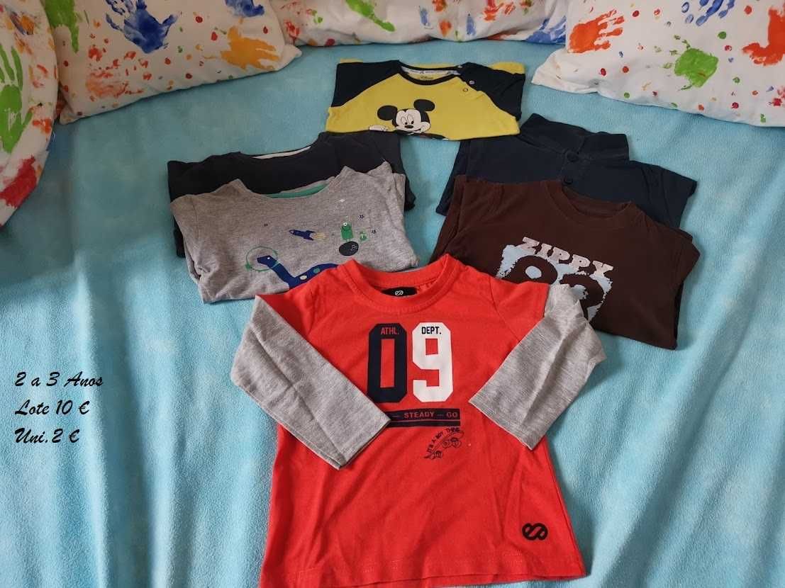 Roupa menino 2 a 3 anos