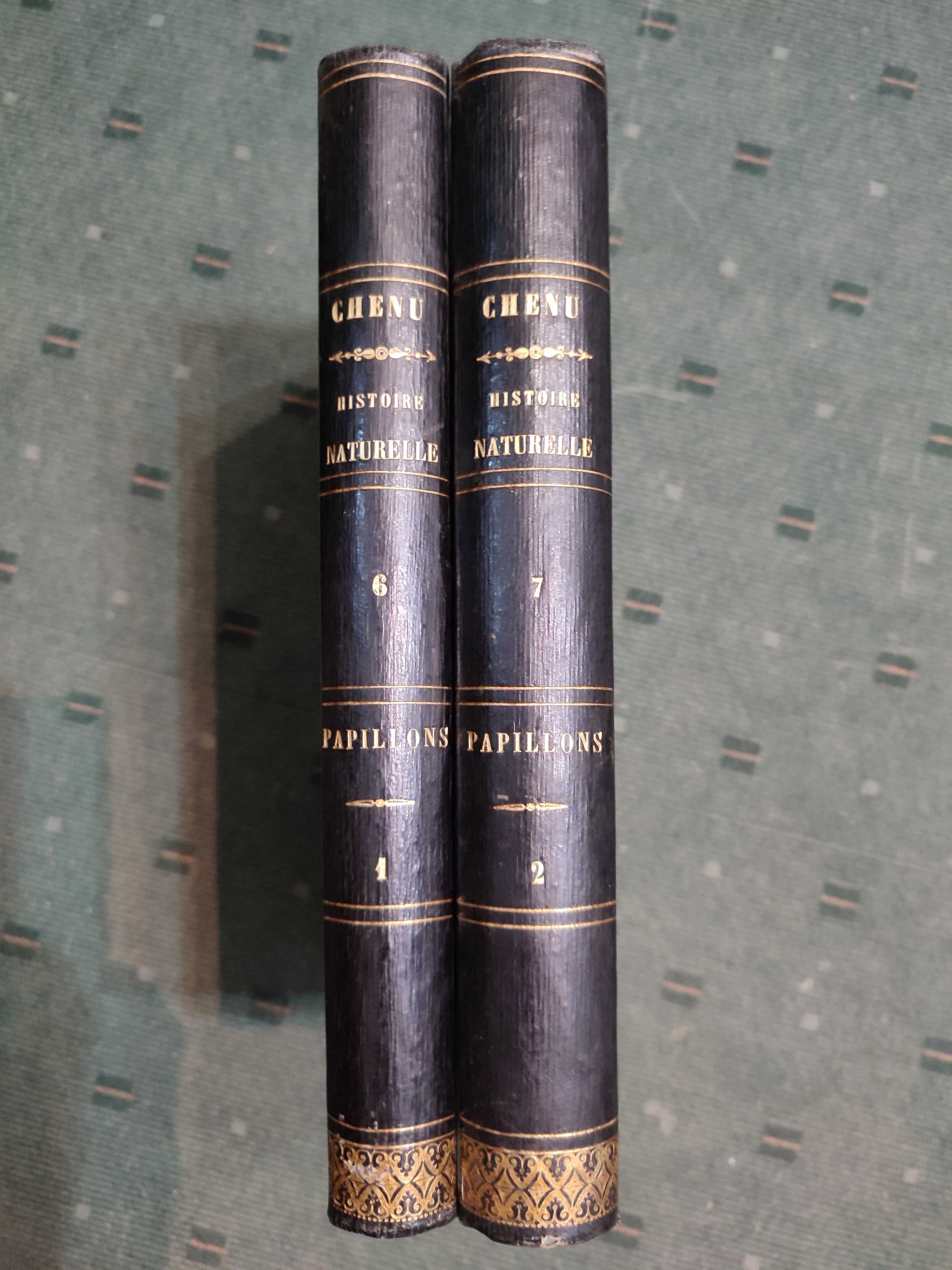 Encyclopédie D'Histoire Naturelle Traité Complet -Papillons - 2 Vol