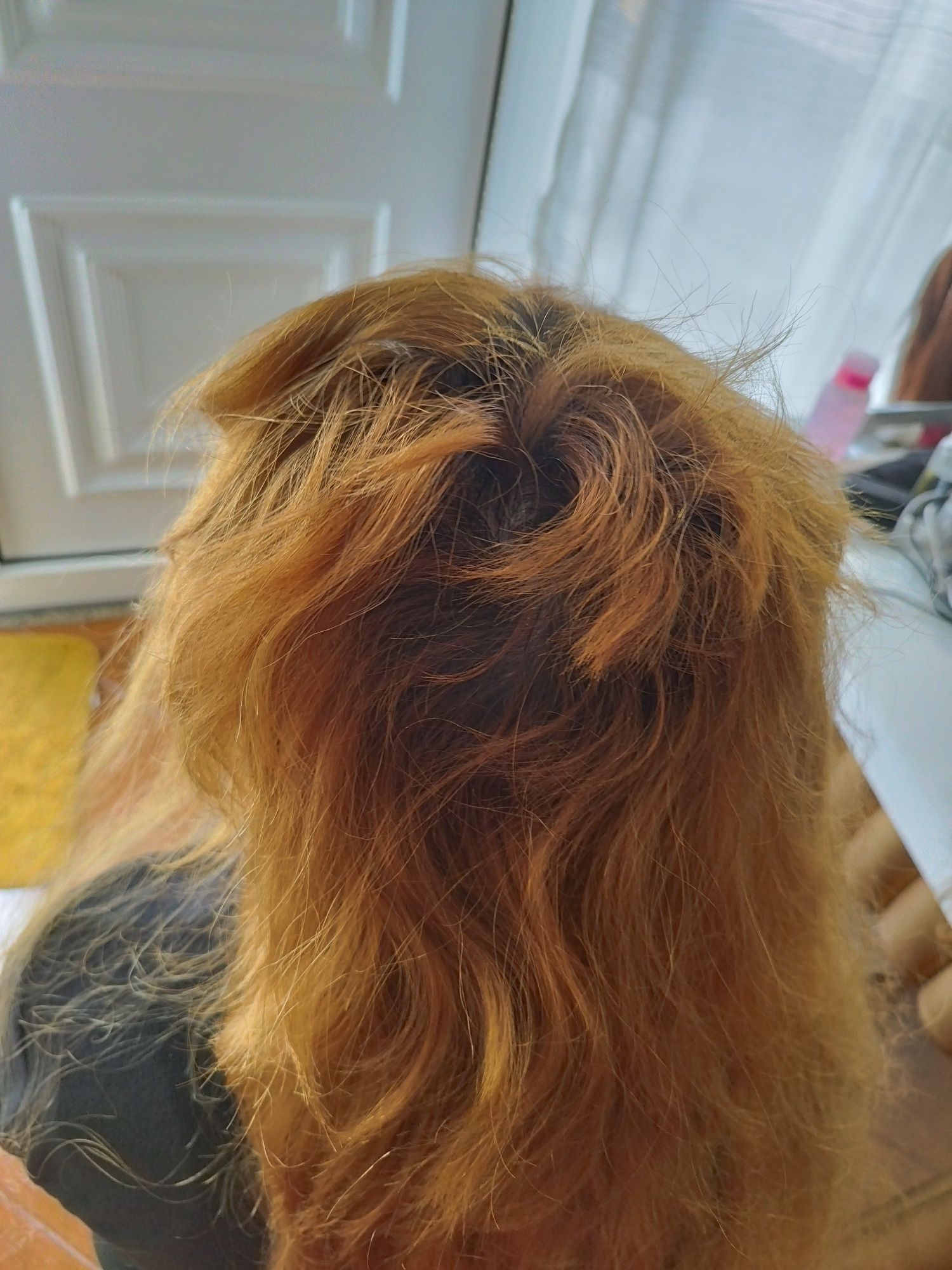 Boas tranças, e aplicação de extensões cabelo mega hair . Abragão Pena