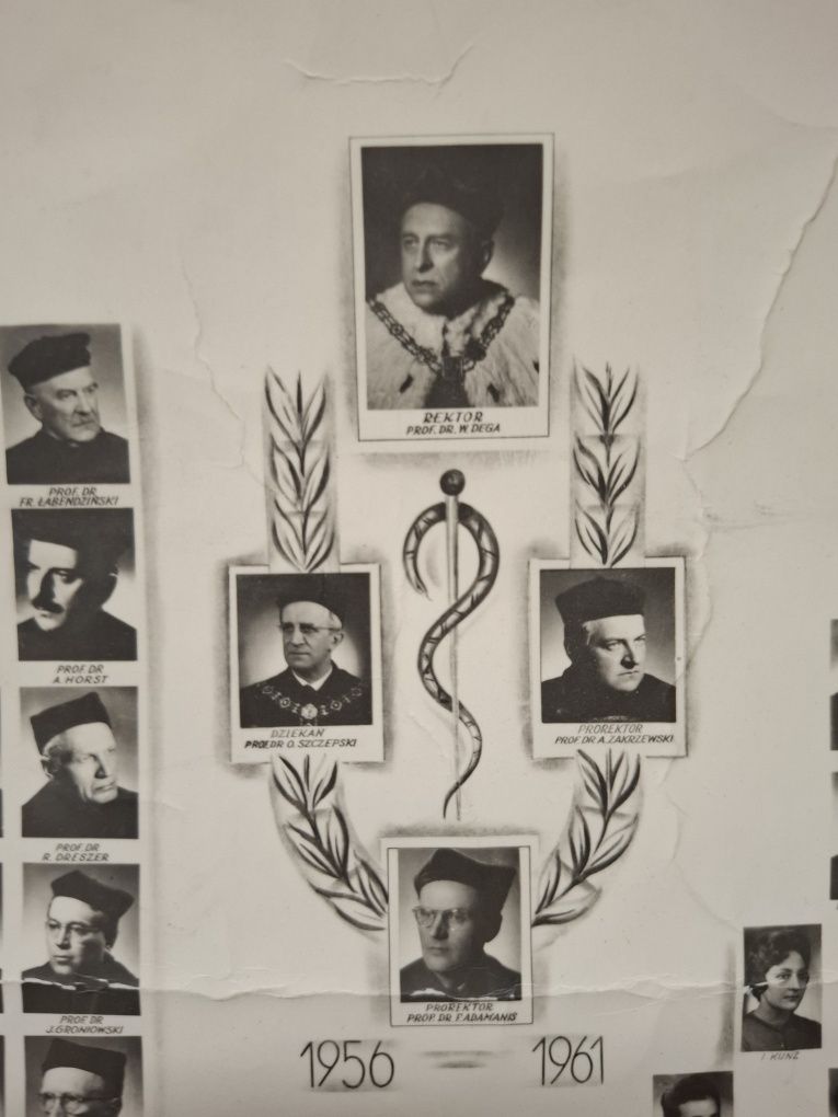 Absolwenci i profesorowie Akademia Medyczna w Poznaniu 1956r