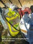 Vende se sacos estrume