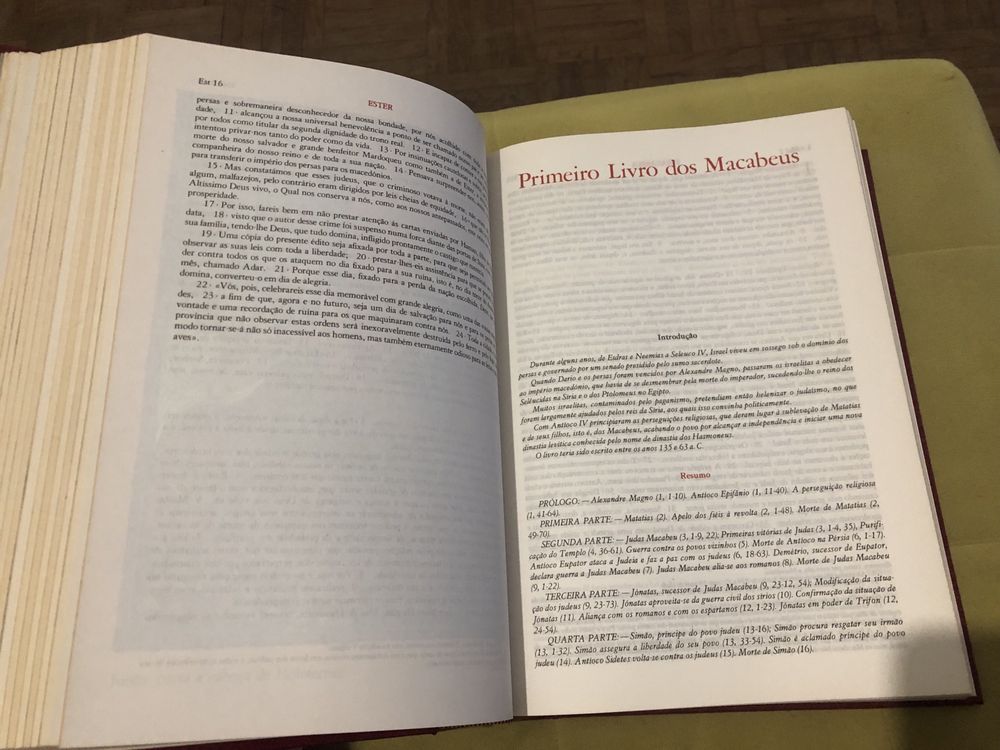 Biblia Sagrada - Editora Verbo