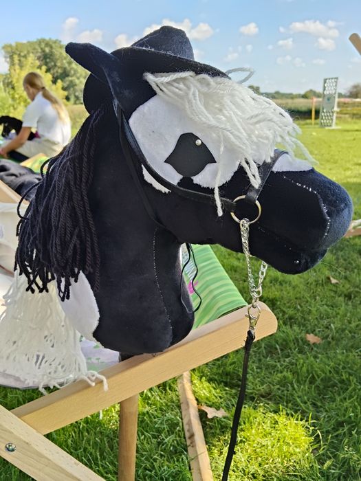 Łaciaty Hobby Horse A4