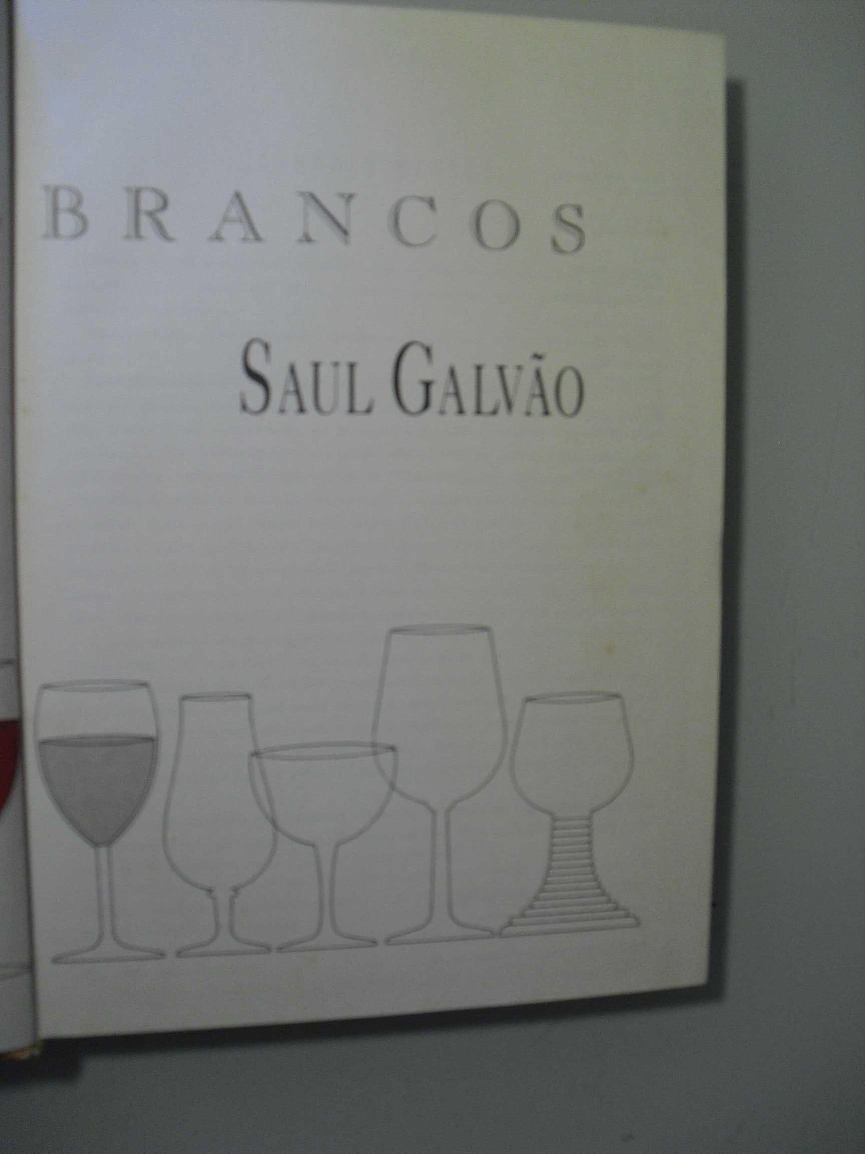 SAUL GALVÃO-TINTOS E BRANCOS