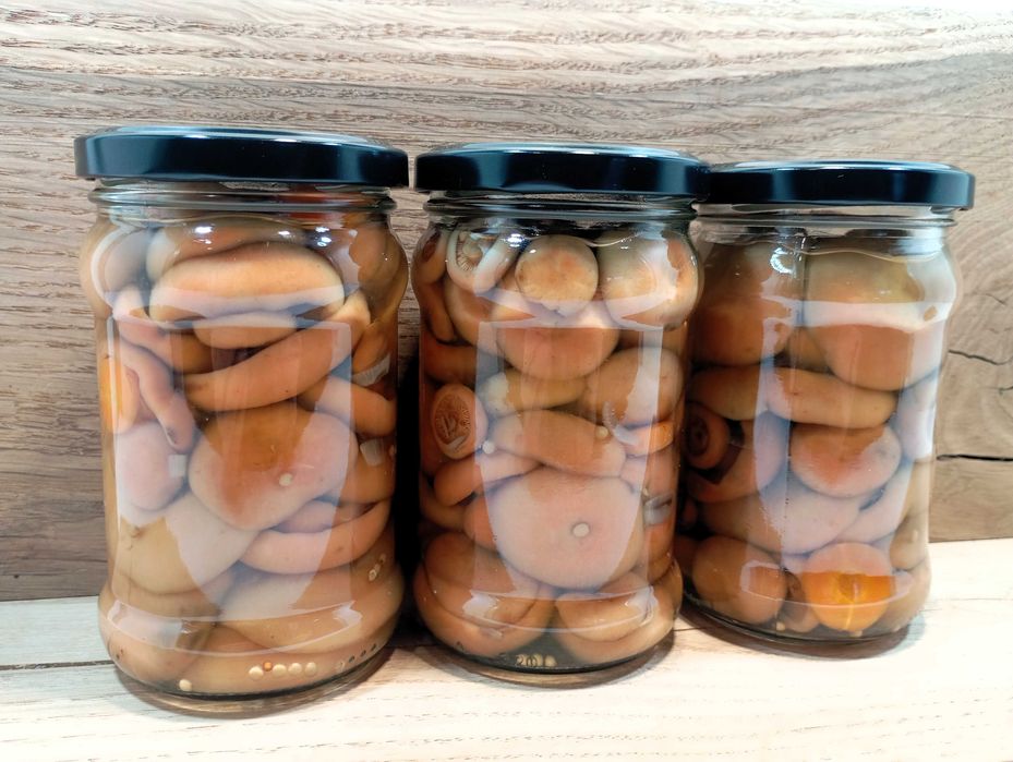 Rydze marynowane. 12 słoików 315ml. Wysyłka.