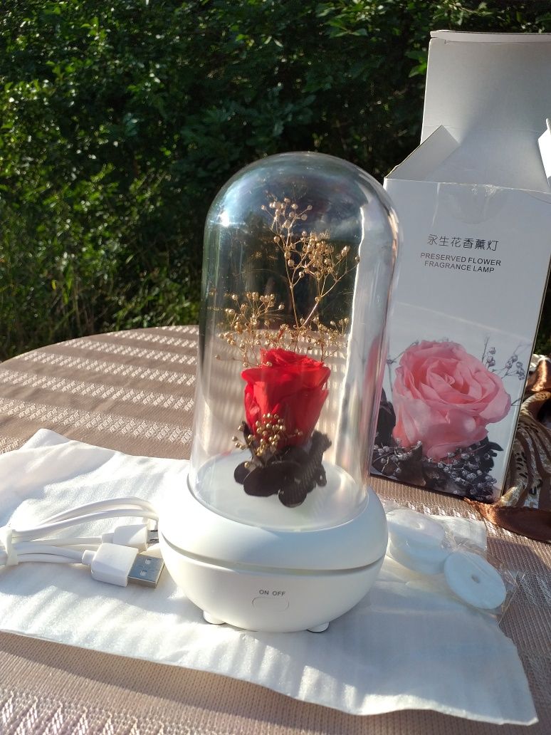 Wieczna róża, lampka nocna i aromaterapia