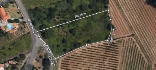 Terreno à venda em Rua Principal - TORRE