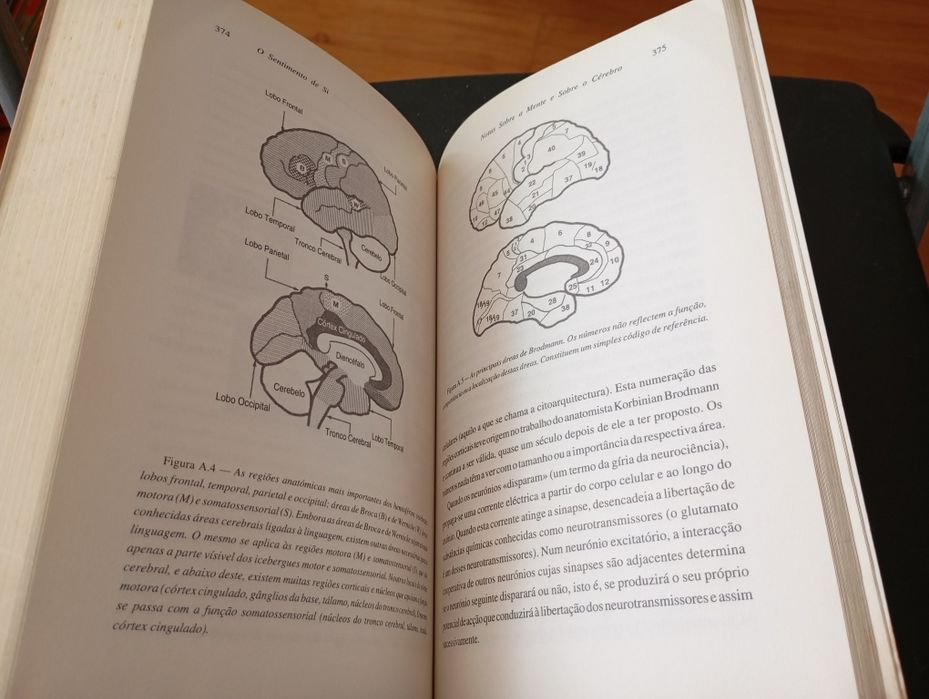 Livro " O sentimento de si"