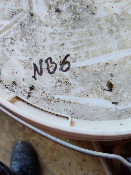 Farba do elewacji Ceresit CT 48