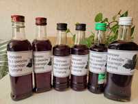 Syrop z owoców czarnego bzu domowy 200 ml 2024