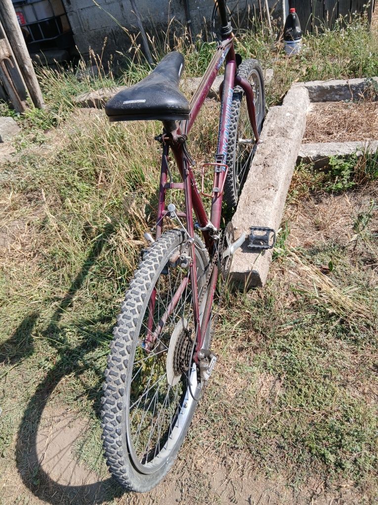 Bicicleta de adulto