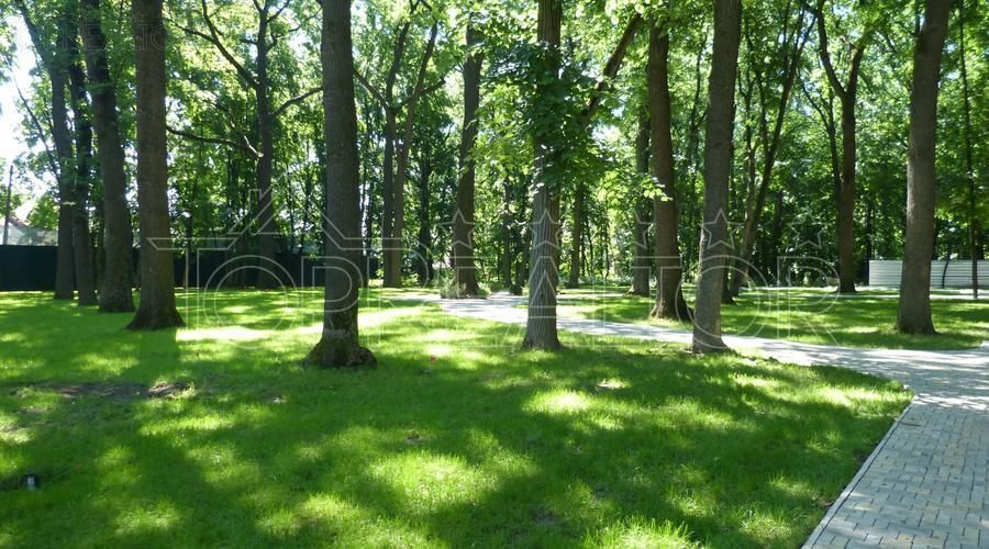 Офіс продажу в КП Лісове пропонує ділянку 14 соток у Лісопарку.
