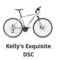 Kellys exquisite DSC 19’