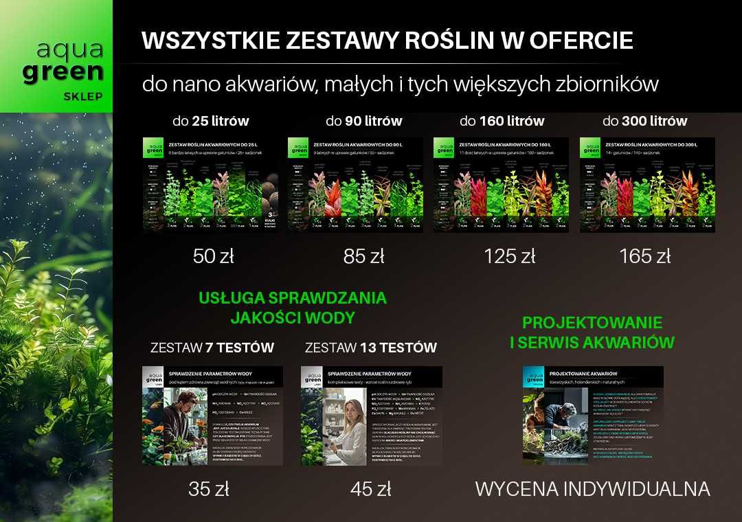 Zestaw roślin do akwarium - duży - 9+ gatunków + GRATISY