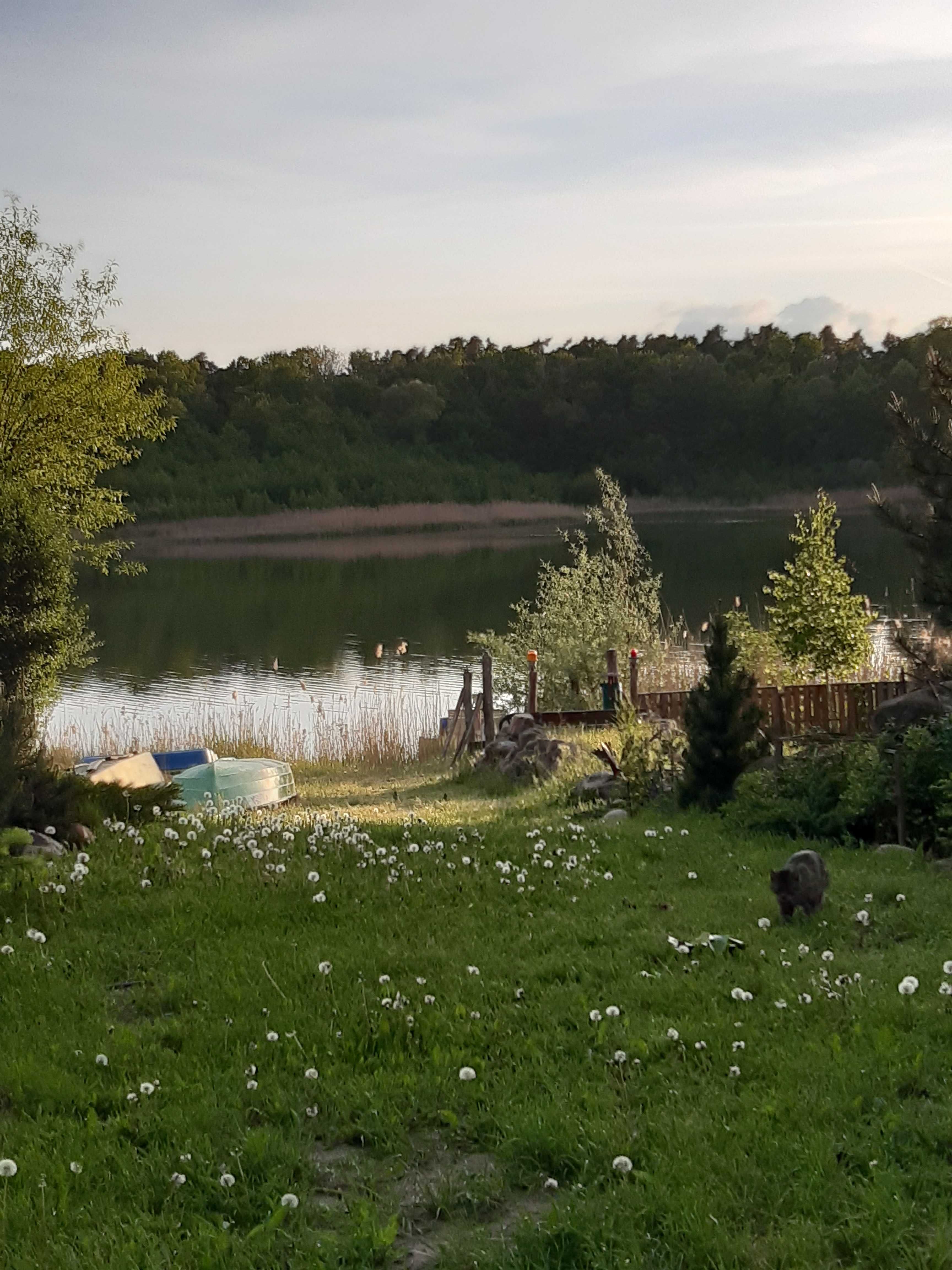 Domki nad jeziorem k/Przyjezierza