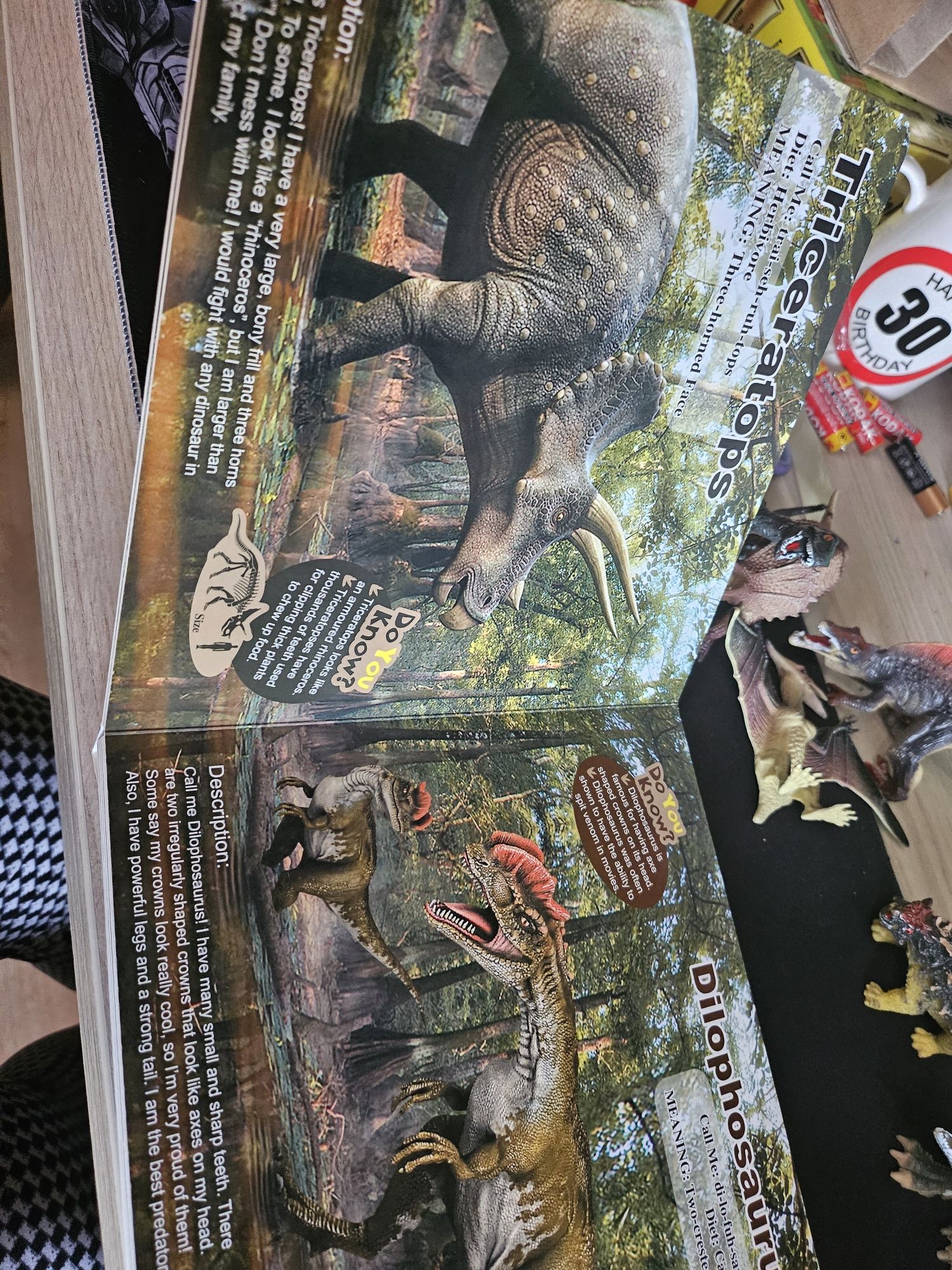 Książeczka +figurki dinozaury