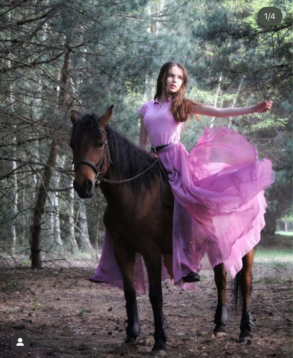 Konie Huculskie 5 oraz 1,5 lat