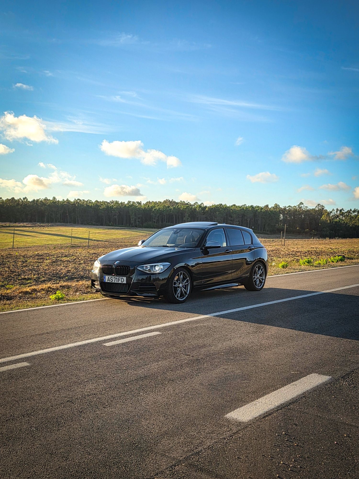 Bmw M135i f20 Rwd