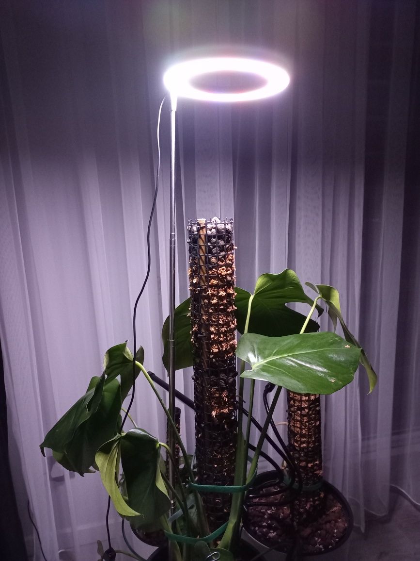 Lampa do uprawy roślin, wysoka, teleskopowa  do 170  cm
