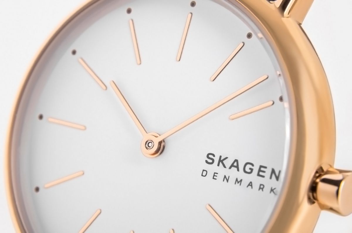zegarek damski skagen signatur skw2838 + box