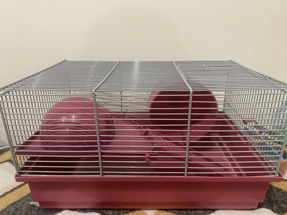 Gaiola para Hamster, roedor