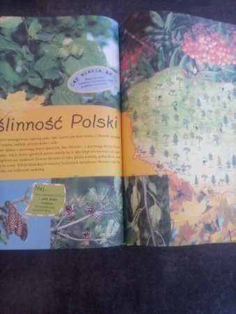 ATLAS Polski dla dzieci. Pięknie ilustrowany