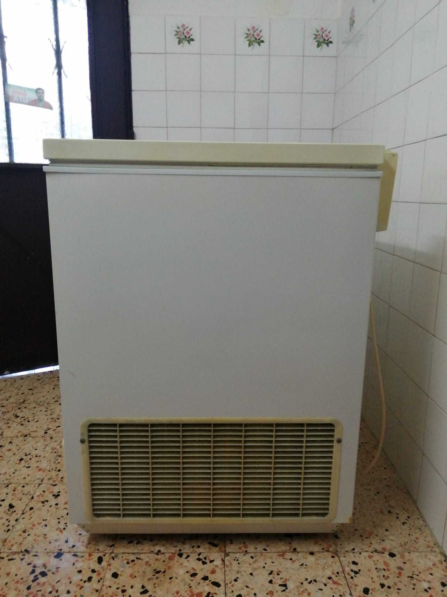 Arca Congeladora Zanussi