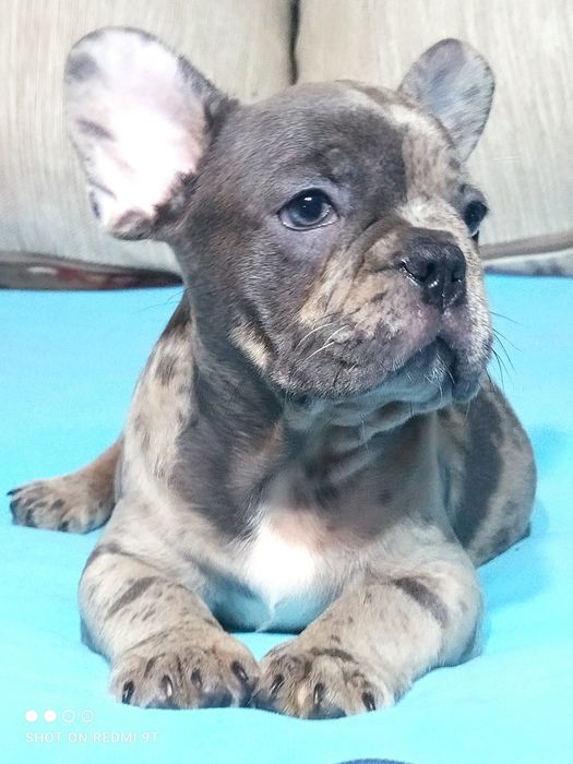 Мальчики и девочки.