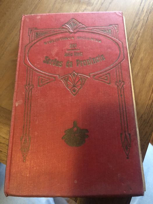 Seroes da Provincia XXI de Julio Dinis