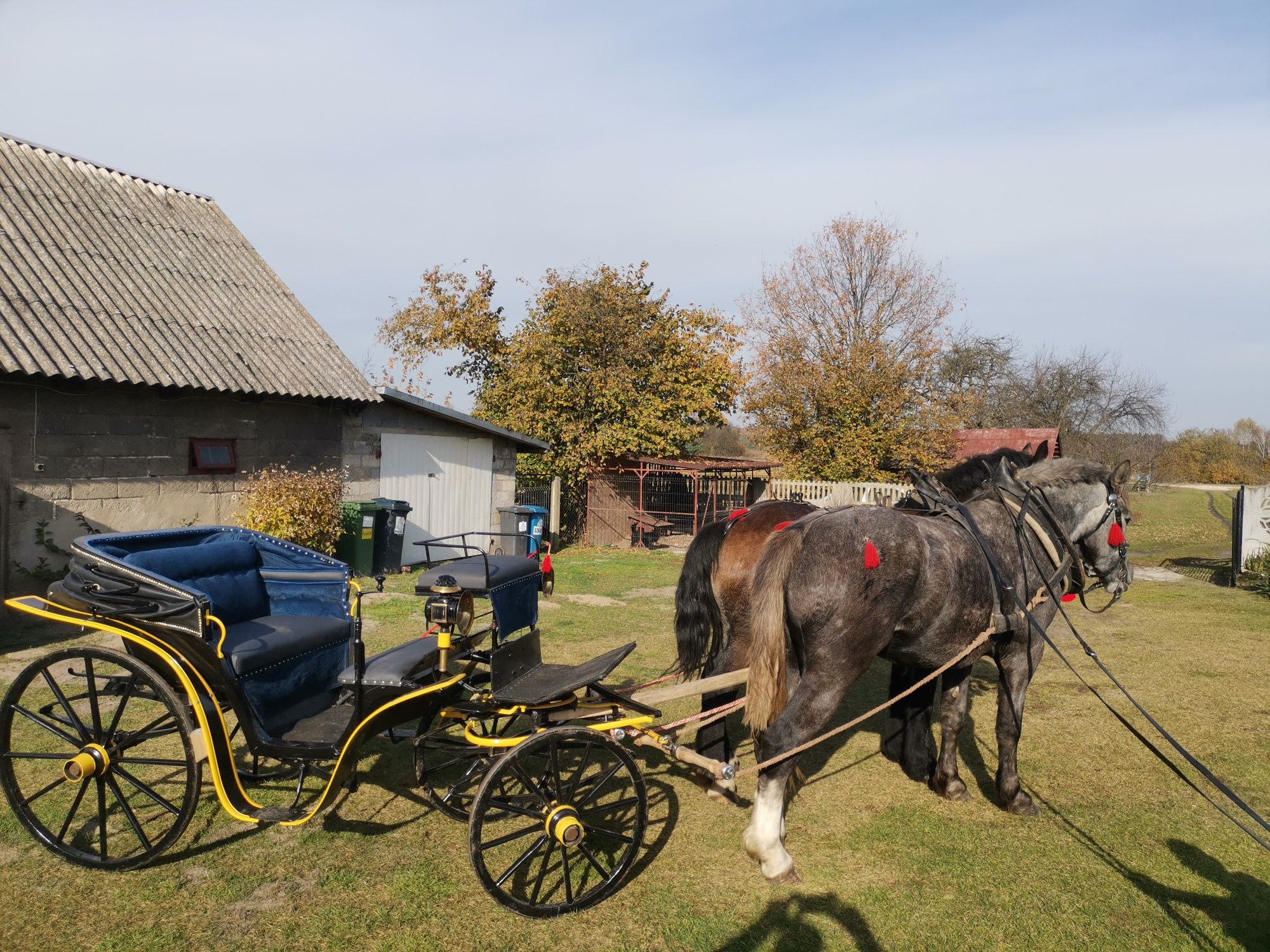 Powiozę bryczką na każde imprezy okolicznosciowe