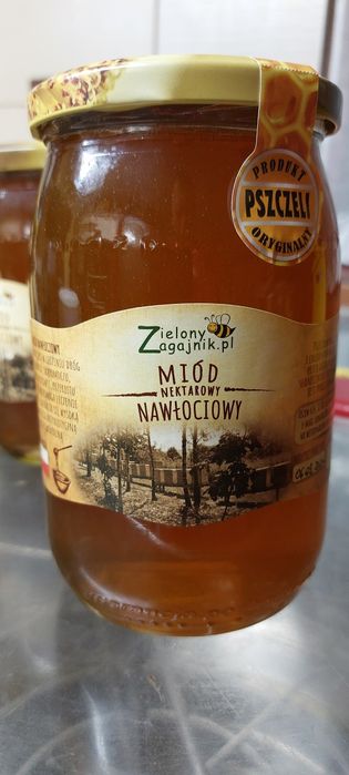 Miód nawłociowy z własnej pasieki ZielonyZagajnik.pl
