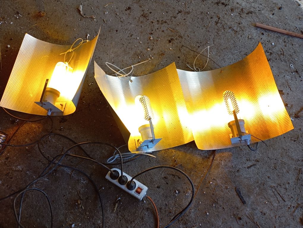 Lampy hps do roślin trzy w cenie jednej nowej