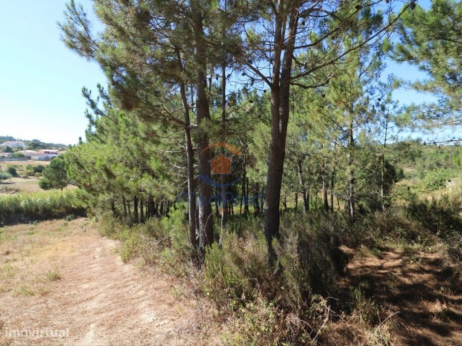 Terreno agrícola em Fonte Grada