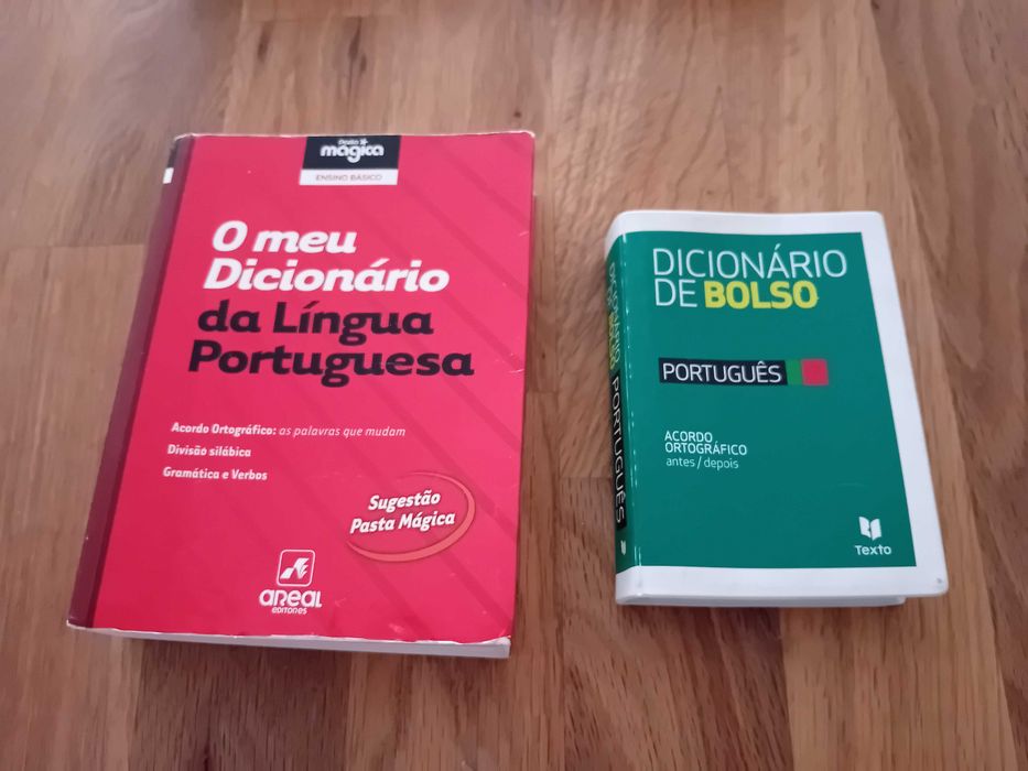Dicionários Escolares
