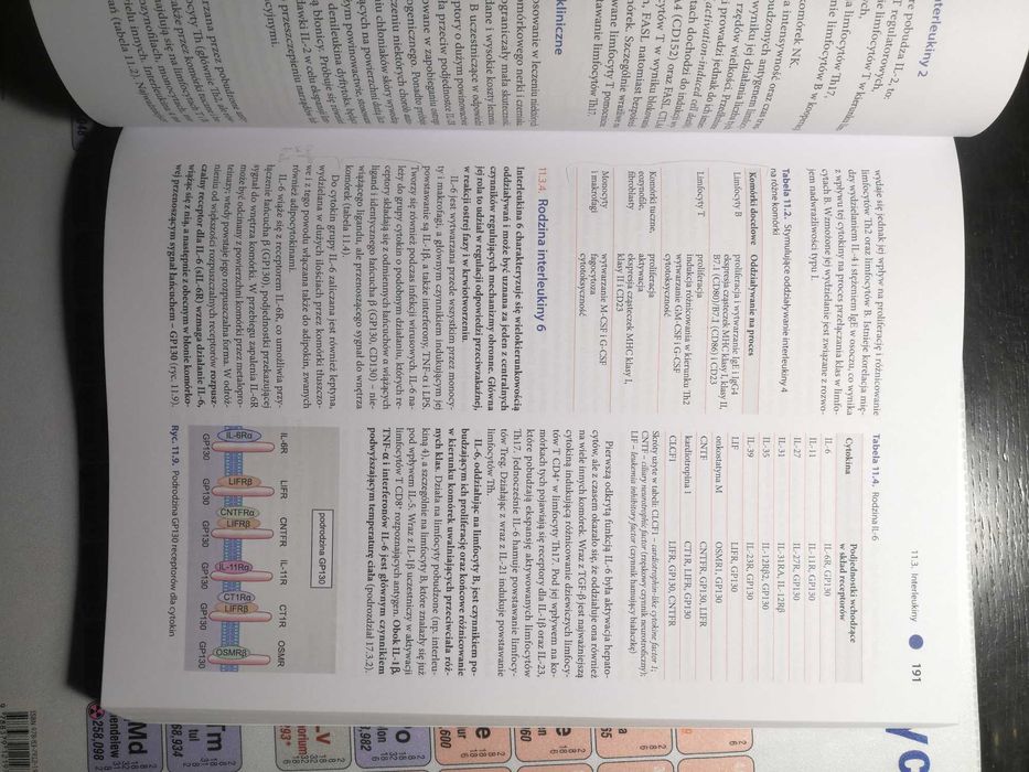 Histologia Sawicki, Immunologia Gołąb
