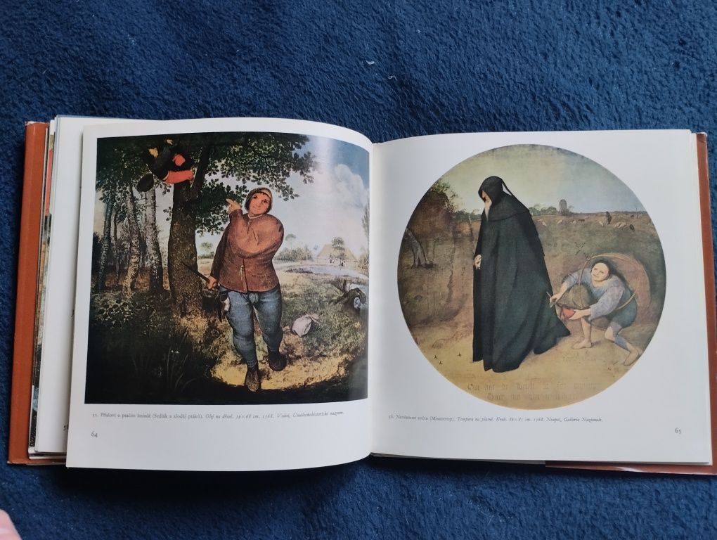 Pieter Bruegel. Album o sztuce