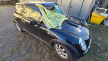 MINI ONE MINI ONE 2004 po spotkaniu z sarną