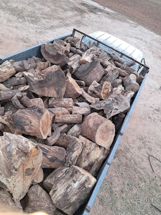 Vendemos lenha de azinho e sobro