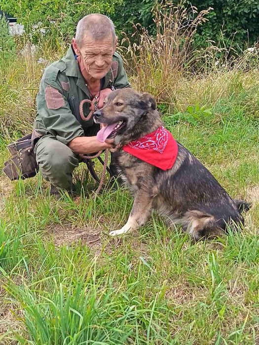 Віддам в добрі руки