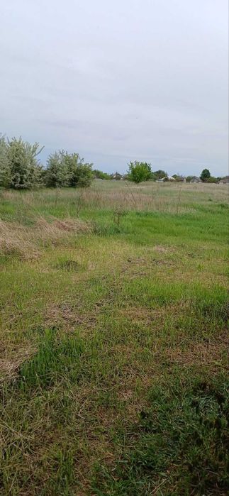 Продається будинок в с. Соснове, Черкаської обл. - 8000 у.о