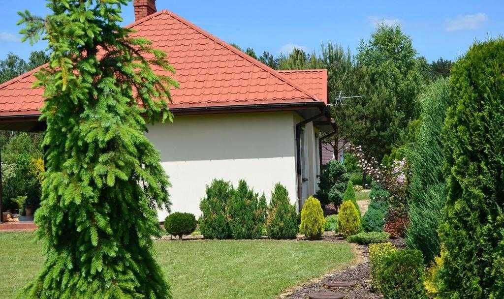 Dom na wynajem – Adamów, idealny dla rodzin, blisko lasu i jeziora