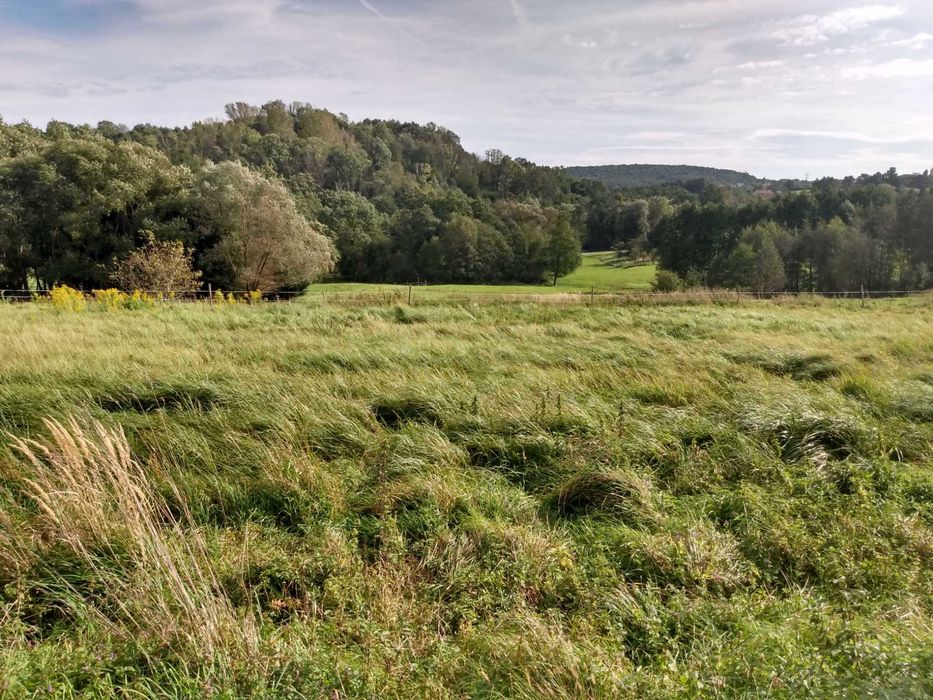 OKAZJA DLA INWESTORA Koźmice Wielkie 37 a, 630 tyś