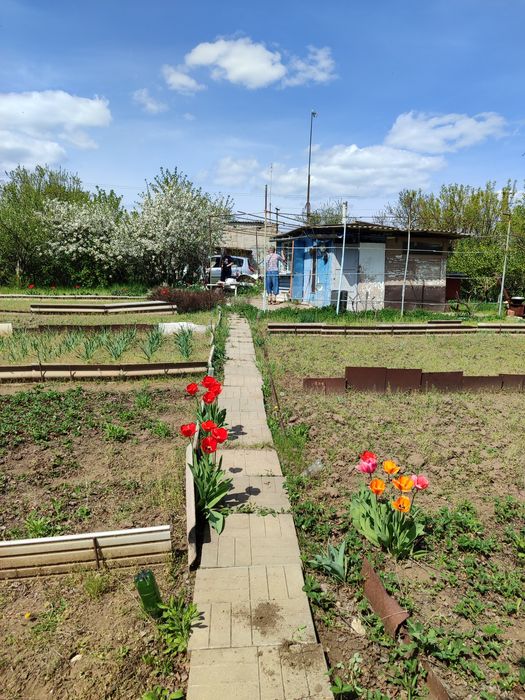 Дача в Червоноднепровке