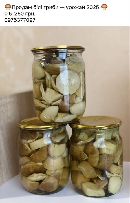 Продам білі гриби