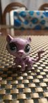 Littlest pet shop leopard