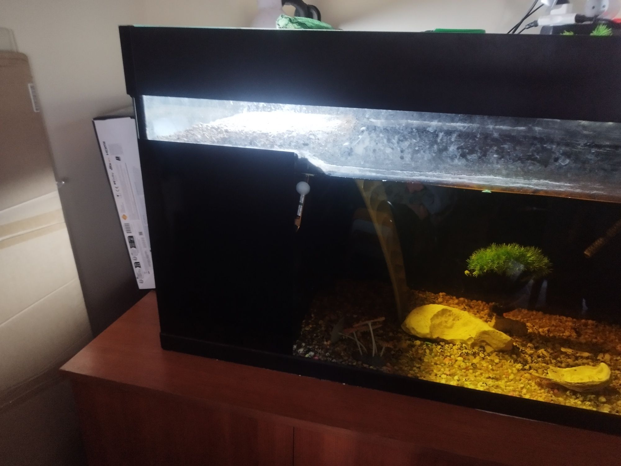 Vendo aquário para tartarugas