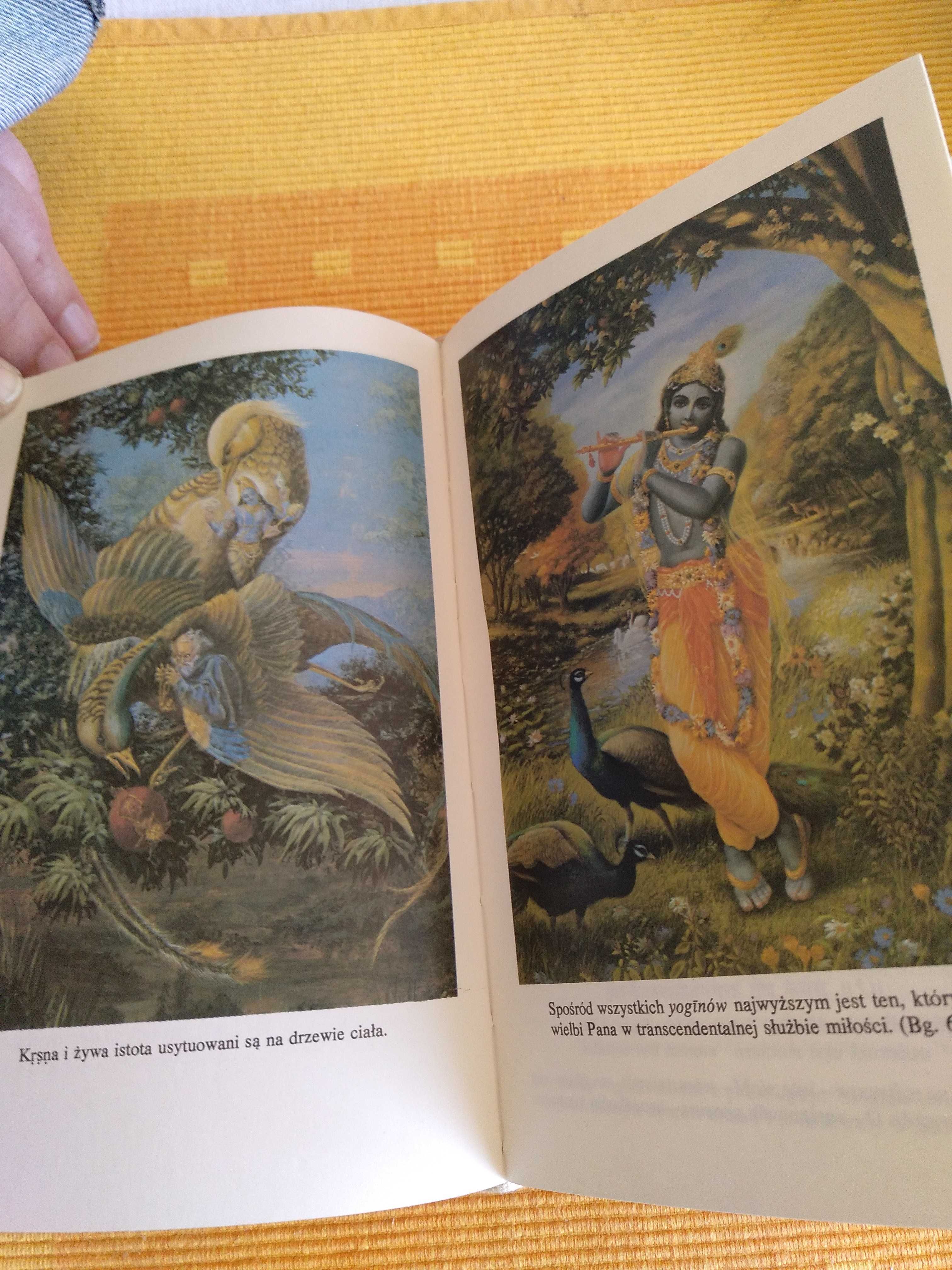 Bhagavad-Gita Taka jaka jest , indyjskie mądrości