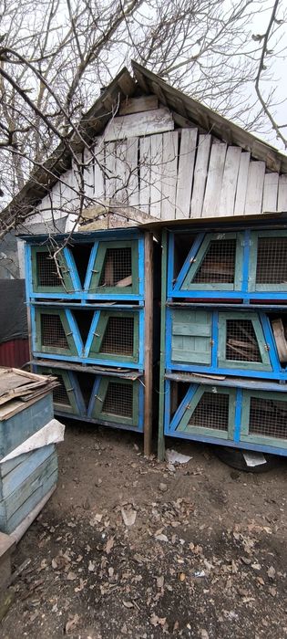 Продам клітки для кролів