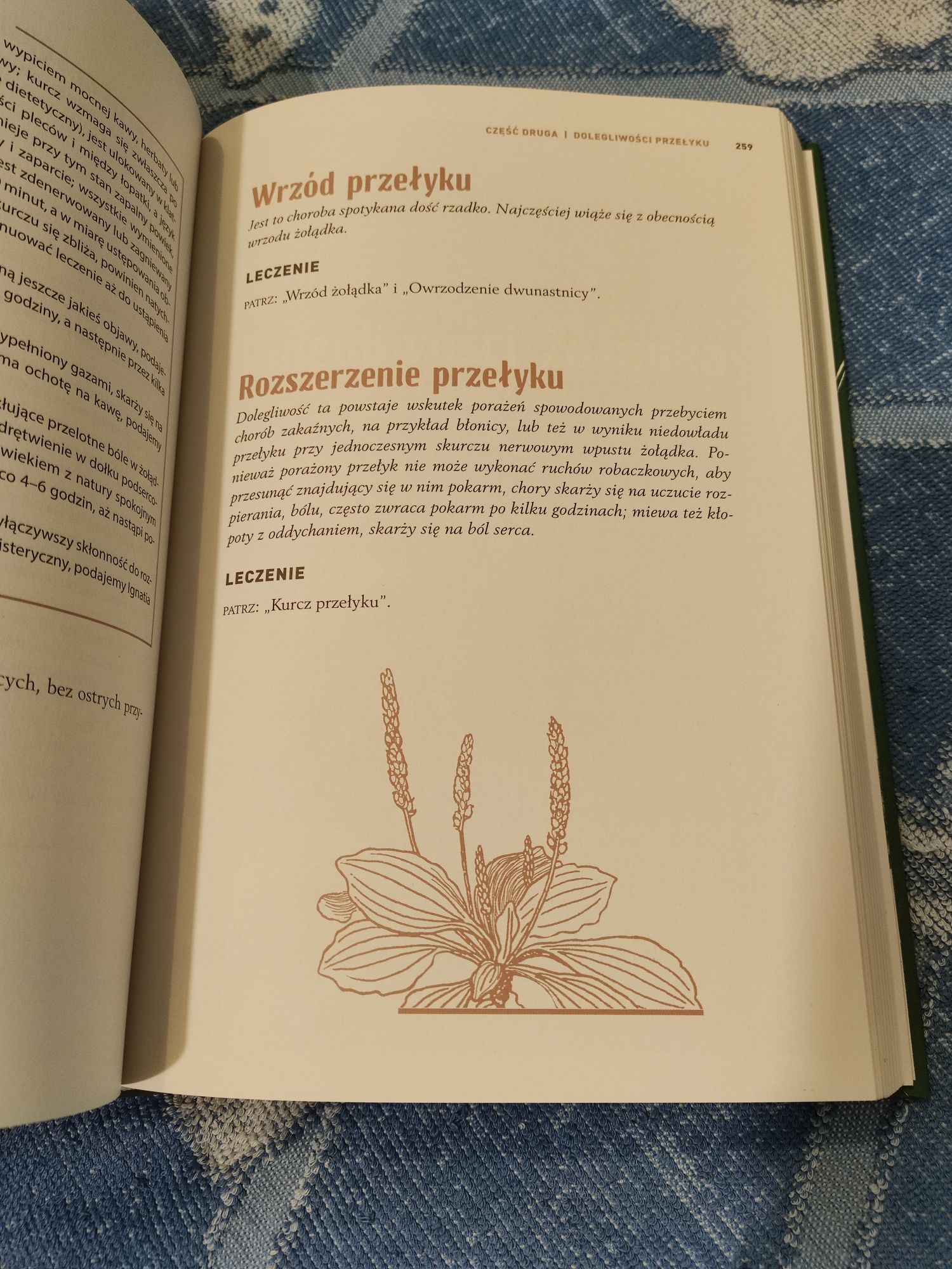 Wielki przewodnik po medycynie naturalnej